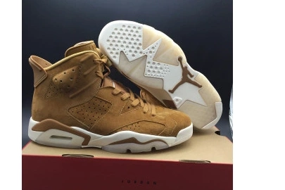 Wheat Retro Jordan 6 0820